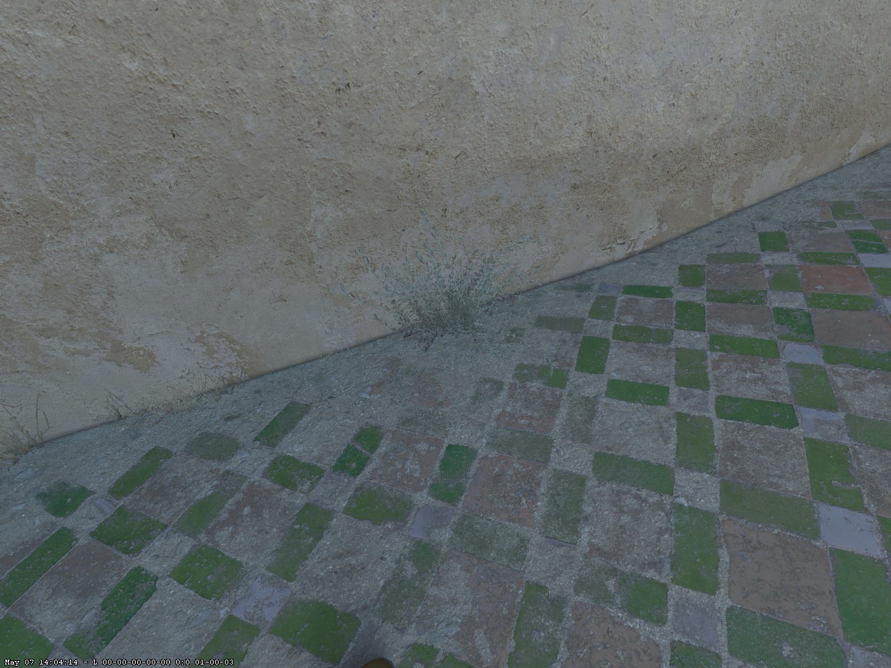 T Spawn
